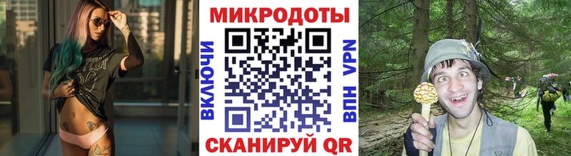 Псилоцибиновые грибы Psilocybe  Себеж 